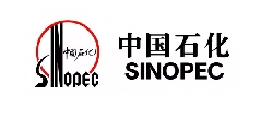 中國(guó)石化案例