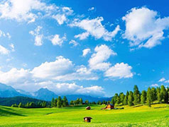 要想打贏藍(lán)天保衛(wèi)戰(zhàn)，我們還有哪些“硬骨頭”要啃？